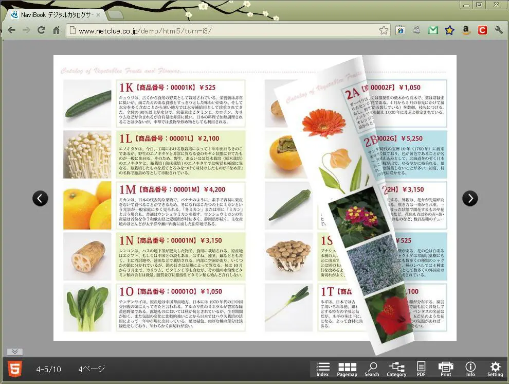 NaviBook デジタルカタログ